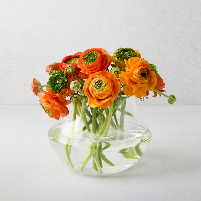 Mario clear glass vase, 5.5"W x 7.1"H, with orange ranunculus flowers.