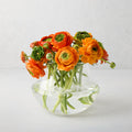 Mario clear glass vase, 5.5"W x 7.1"H, with orange ranunculus flowers.