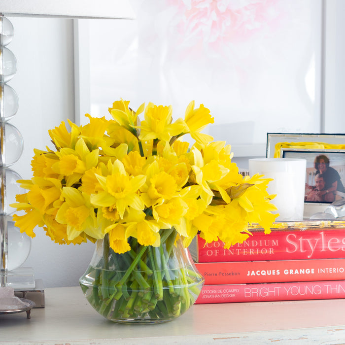 Clear, mouth-blown glass Mario Vase (5.5"W x 7.1"H) filled with bright yellow daffodils.