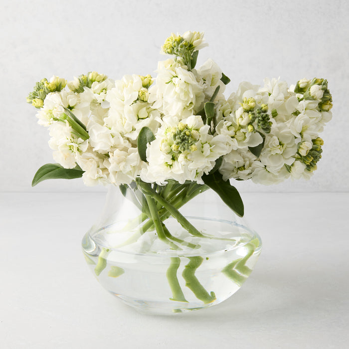 Mario 7.1"H clear mouth-blown glass vase with white flowers.