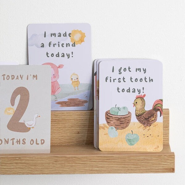 baby milestone cards for photos