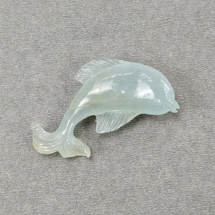 Dolphin
