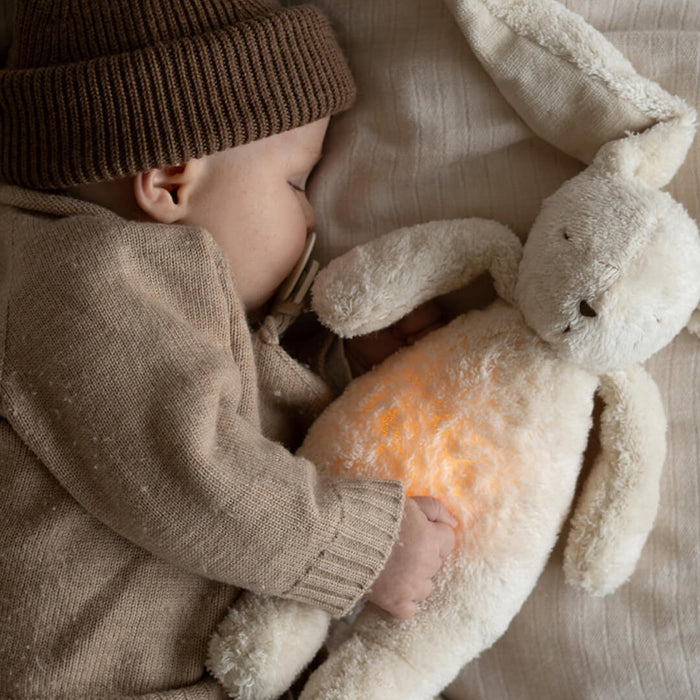 Moonie - The Humming Bunny With Lamp - Polar Nature - Mabel & Fox