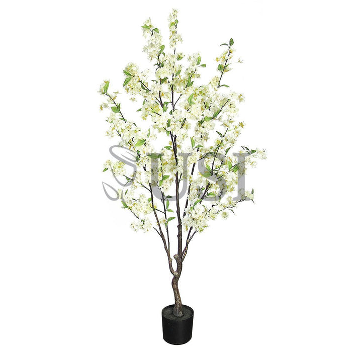 Natural Cherry Blossom Flower Tree Potted, 4.5ft, Cream White