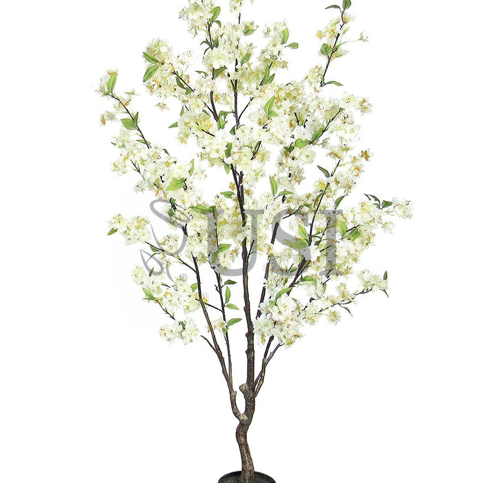 Natural Cherry Blossom Flower Tree Potted, 4.5ft, Cream White