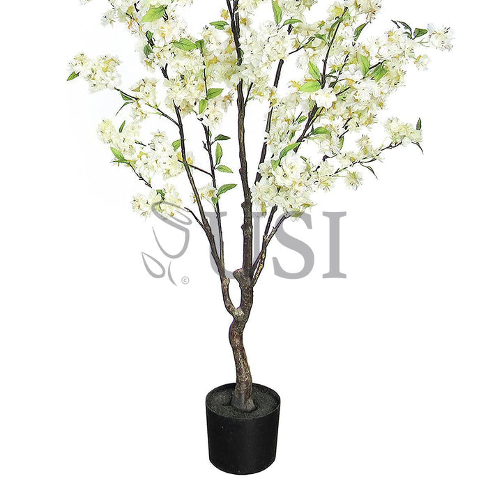 Natural Cherry Blossom Flower Tree Potted, 4.5ft, Cream White