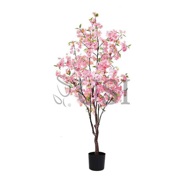 Natural Cherry Blossom Flower Tree Potted, 4.5ft, Pink