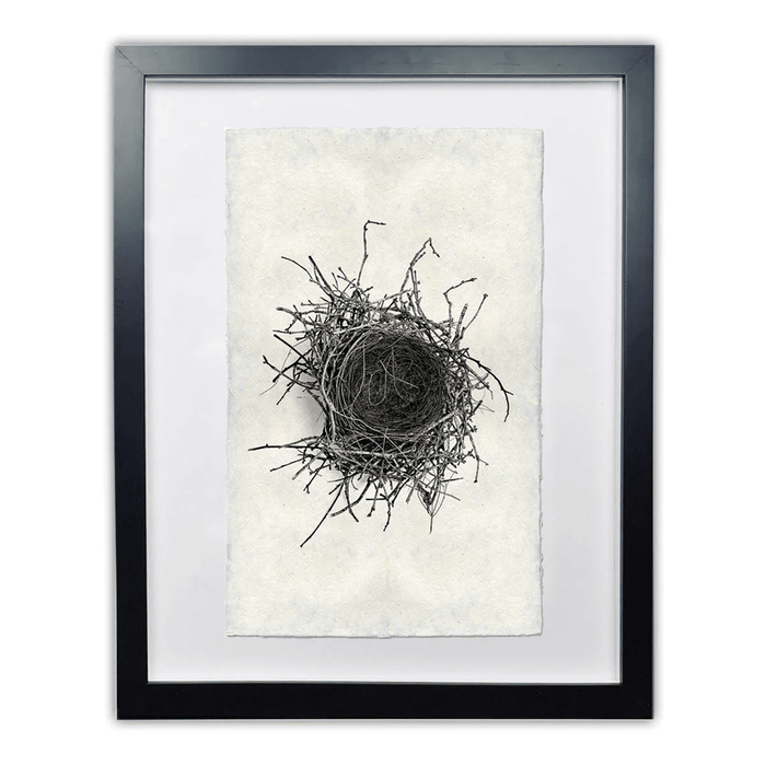 Framed Nest Study #2 wall art print on Nepalese handmade paper, black and white, by Dennis and Roy.