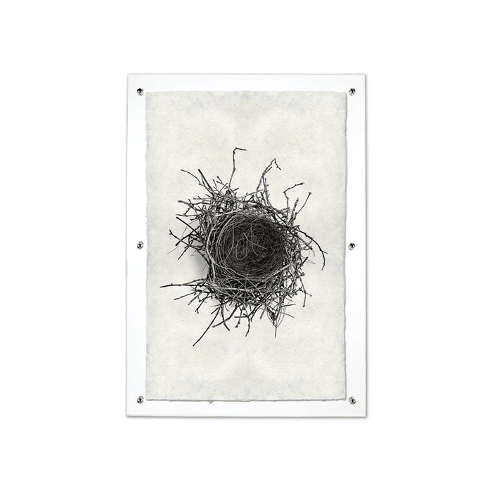Black and white Nest Study #2 print on handmade Nepalese paper, mounted in a clear acrylic frame.