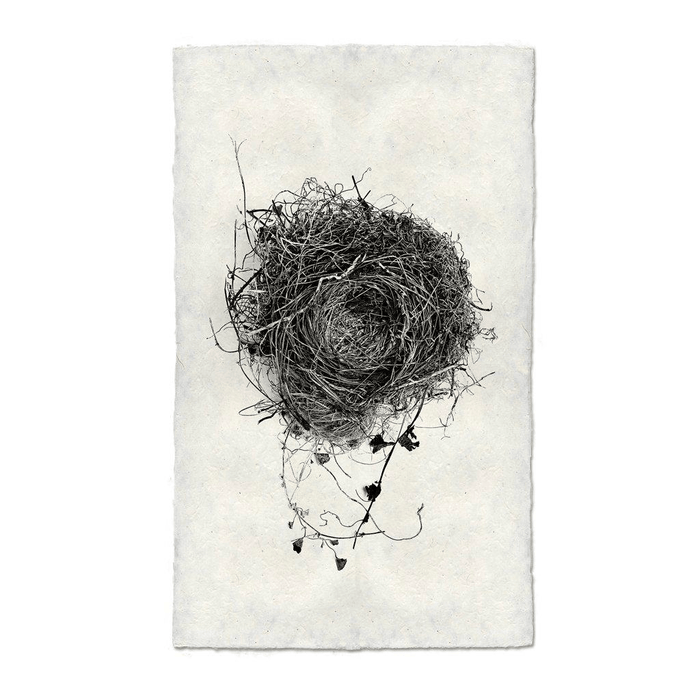 Black and white Nest Study #3 print on textured Nepalese handmade paper, featuring a detailed bird's nest.