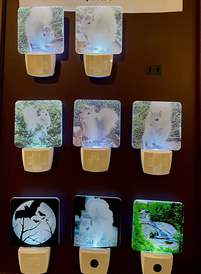 Night Lights - Custom Made for Our Shoppe - White Squirrels, Graceful Black Bats: Nature's nighttime guardians in artistic detail and  Looking Glass Falls