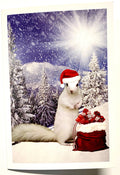 Notecards - White Squirrel Christmas - Boxed Sets of 10 or 25 Cards with Envelopes