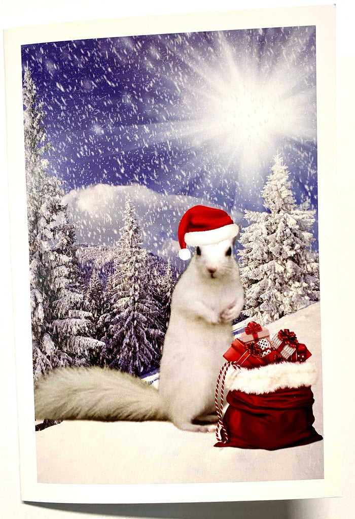 Notecards - White Squirrel Christmas - Boxed Sets of 10 or 25 Cards with Envelopes