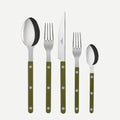 Olive green Bistro 5-piece flatware set with stainless steel and acrylic handles.