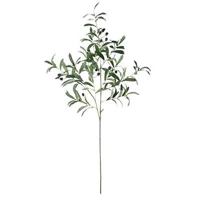 Olive Stem