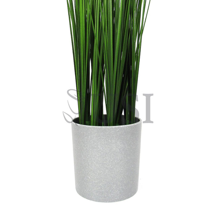 Onion Grass Plant Potted, 16in, Green