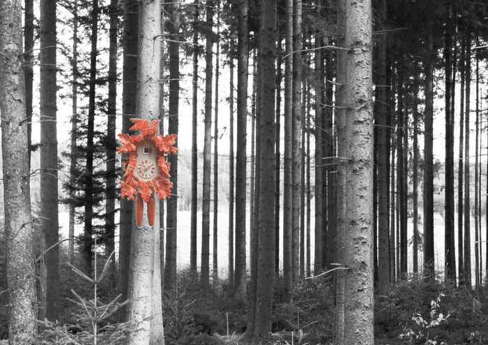 A canvas print featuring a traditional orange cuckoo clock hanging in a tree with a grey and white woodland background.