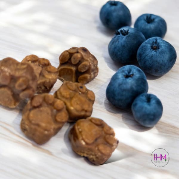 Dog Dazed Organic CBD Blueberry Bites for Dogs 🐶 - Treats