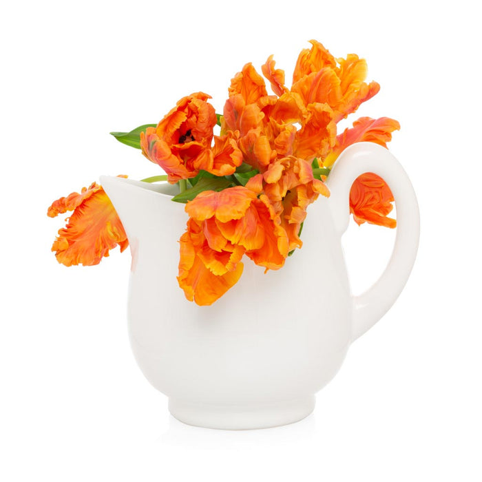 Creamy white ceramic pitcher with a sturdy handle and angled spout, holding vibrant orange parrot tulips.