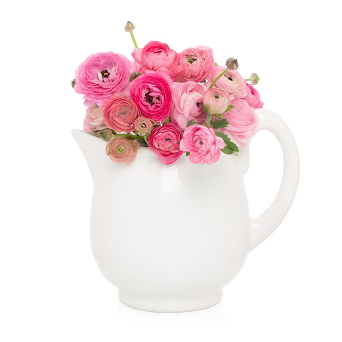 Creamy white ceramic pitcher with a sturdy handle and angled spout, filled with pink ranunculus flowers.