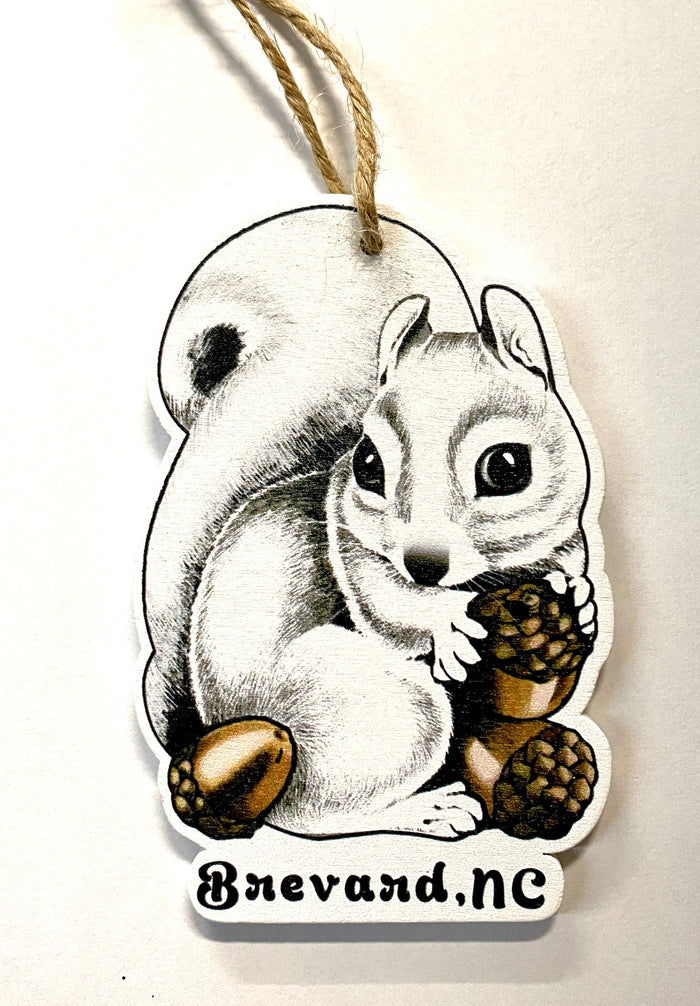 A laser cut wooden ornament in the shape of a cute white squirrel holding acorns, with the text 'Brevard, NC' on the bottom.