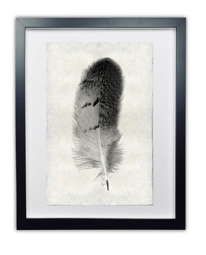 Framed black and white owl feather print on textured Nepalese handmade paper, black frame.