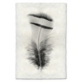 Black and white Chukar Partridge feather print on textured handmade Nepalese paper, modern wall art.
