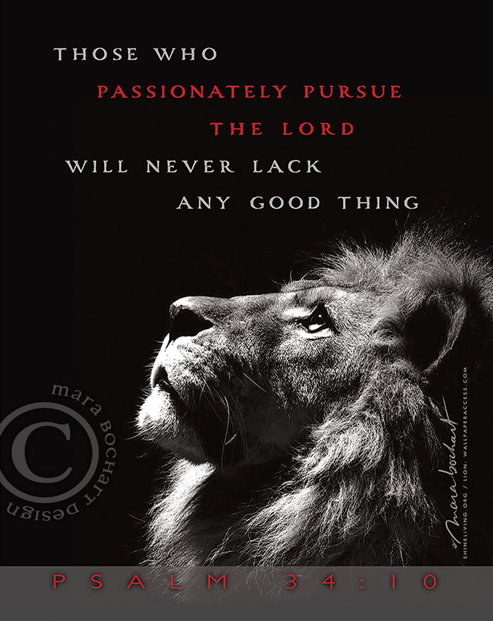 Passionately Pursue - frameable print