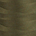 PC PLUS 60 WT - ASH BROWN 0874