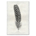 Black and white mottled peacock wing quill feather print on textured Nepalese handmade paper.