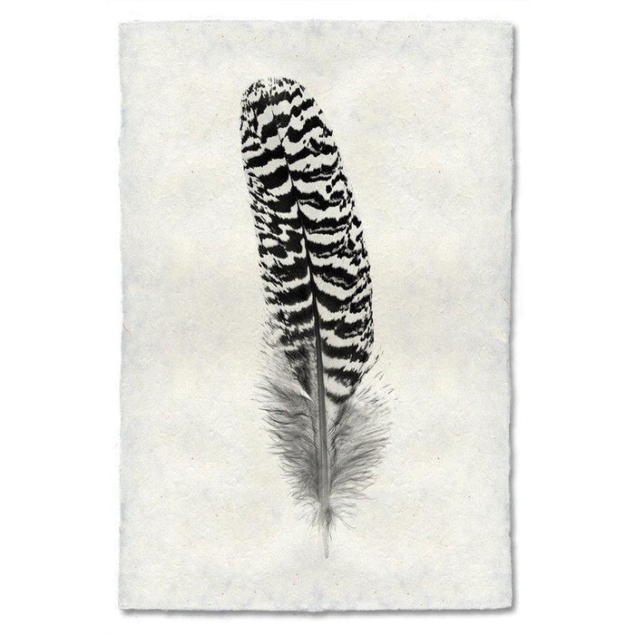 Black and white mottled peacock wing quill feather print on textured Nepalese handmade paper.