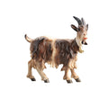 Hand-carved PEMA Kostner nativity goat with bell collar, shaggy brown and white coat, and curved horns, looking right.