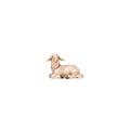 Hand-carved PEMA Kostner nativity lamb lying with legs tucked beneath its body, wearing a collar with a bell and looking left, crafted in Val Gardena, Italy.