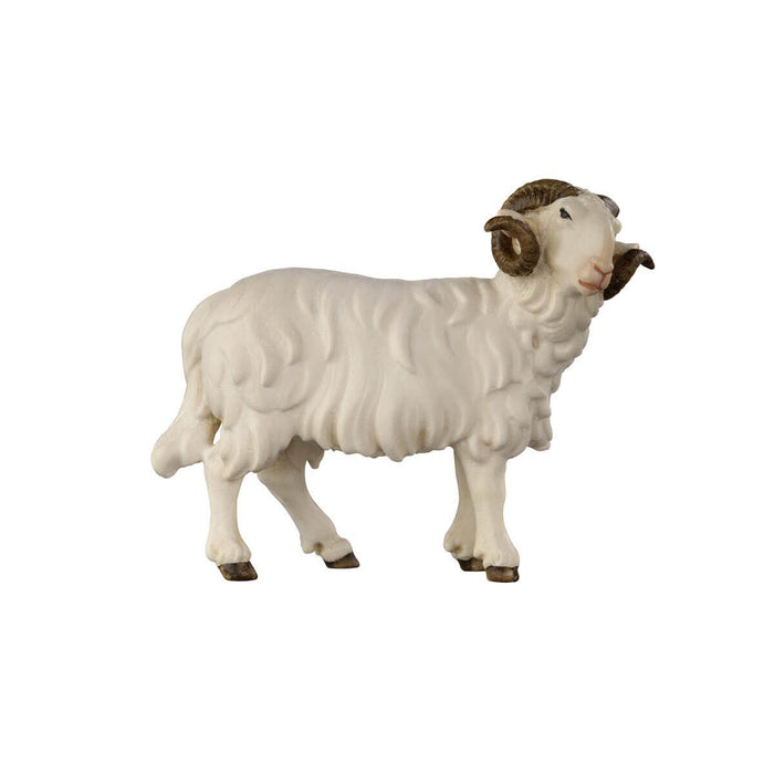 Hand-carved PEMA Kostner nativity white ram with dark curled horns standing and looking right, crafted from sycamore maple and oil-painted in Val Gardena, Italy.