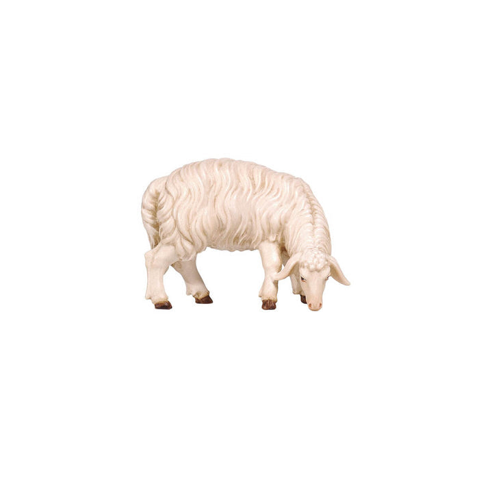 Hand-carved PEMA Kostner nativity sheep grazing with head lowered and looking right, featuring a thick white wool coat, crafted in Val Gardena, Italy.