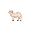 PEMA nativity sheep standing looking left, hand carved from maple wood and hand painted with detailed wool texture.