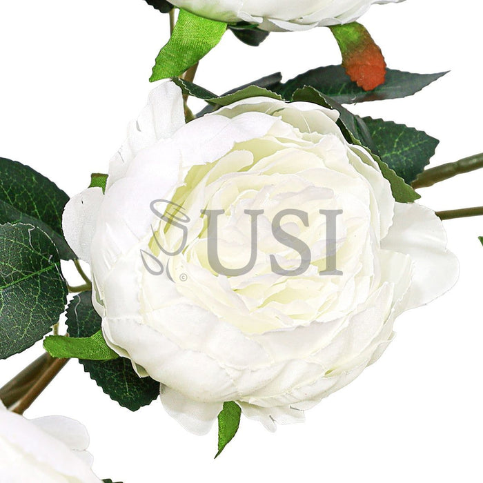Peony Hanging Flower Cluster Bush x34, 48in, Cream White