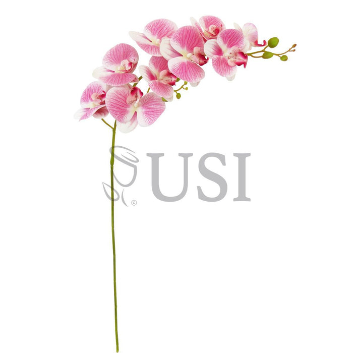 Phalaenopsis Deluxe Natural Touch Orchid Stem 9 Flower, 38.5in, Cream Pink
