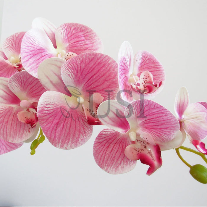 Phalaenopsis Deluxe Natural Touch Orchid Stem 9 Flower, 38.5in, Cream Pink