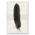 Pheasant feather print in black and white on textured handmade Nepalese paper.