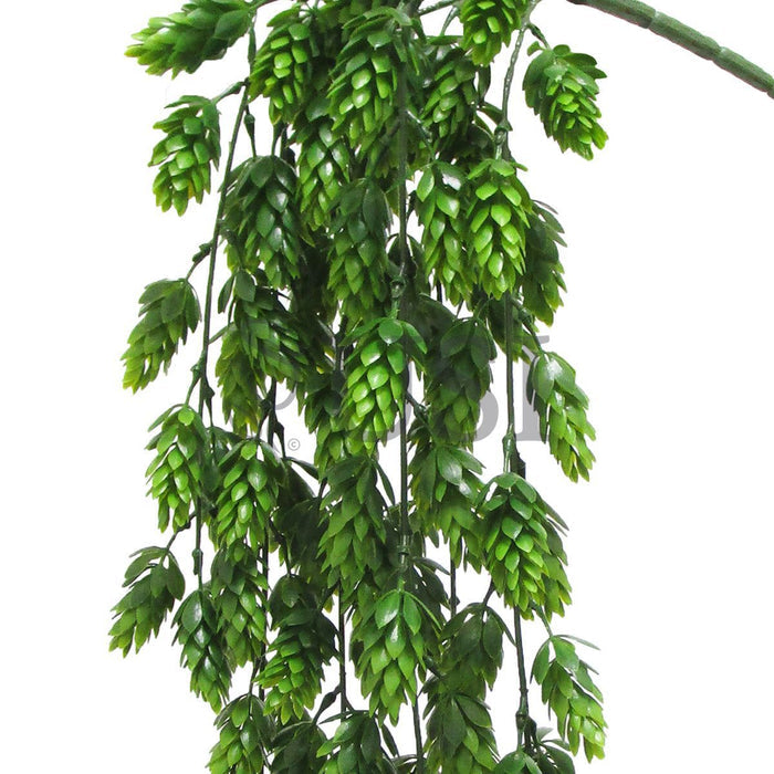 Pine Hanging Spray, 29in, Green
