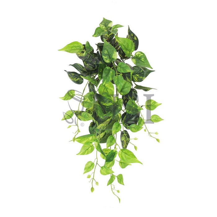 Pothos Ivy Hanging Greenery Bush, 24in, Green