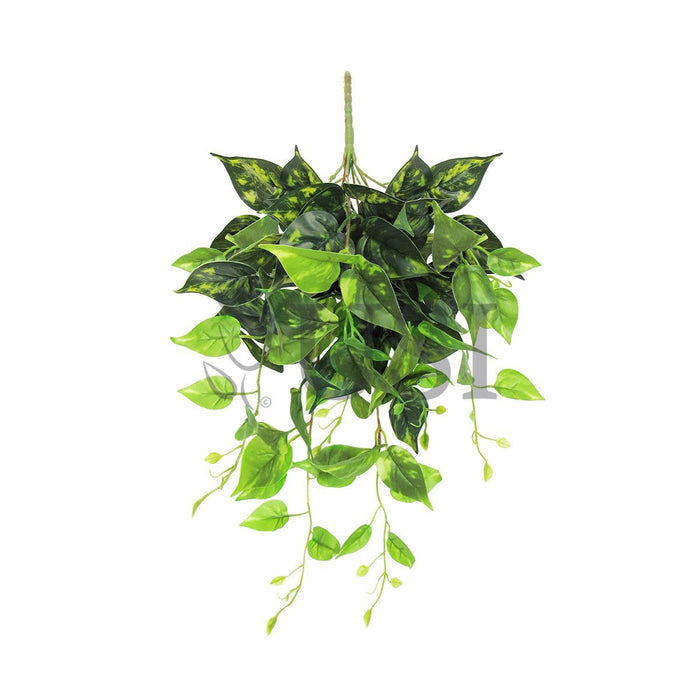 Pothos Ivy Hanging Greenery Bush, 24in, Green