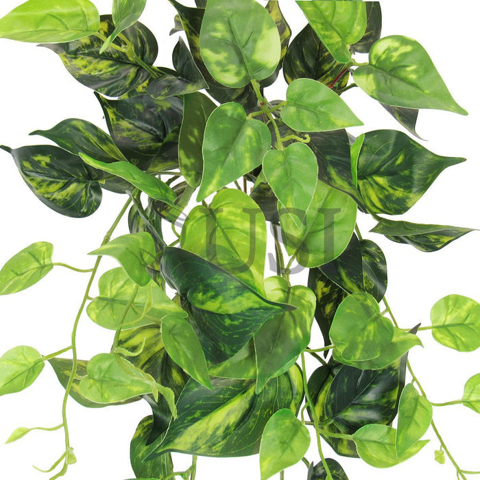 Pothos Ivy Hanging Greenery Bush, 24in, Green