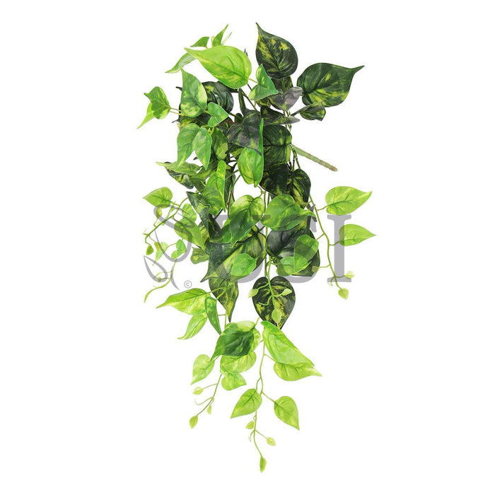 Pothos Ivy Hanging Greenery Bush, 24in, Green