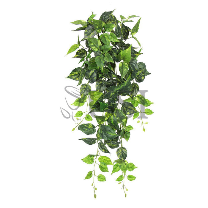 Pothos Ivy Hanging Greenery Bush, 32in, Green