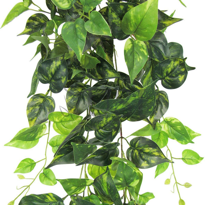 Pothos Ivy Hanging Greenery Bush, 32in, Green