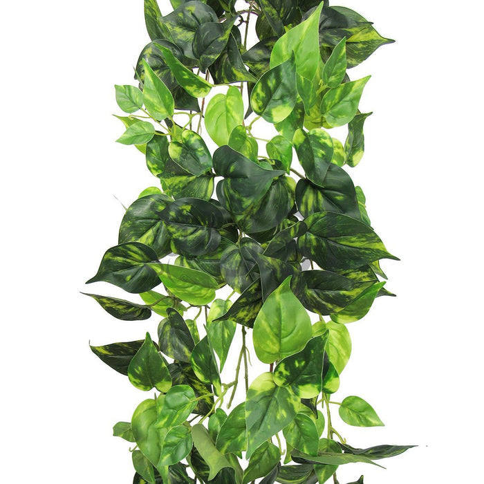 Pothos Ivy Hanging Greenery Bush, 51in, Green