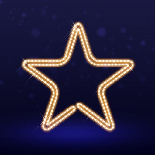 Certified Lights 2D LED star wire frame decor with warm white rope lights for indoor or outdoor holiday displays.