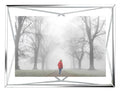 Prisma Picture Frame